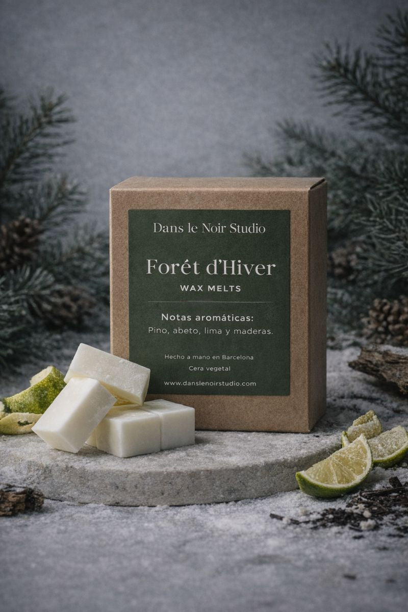 Forêt d’Hiver