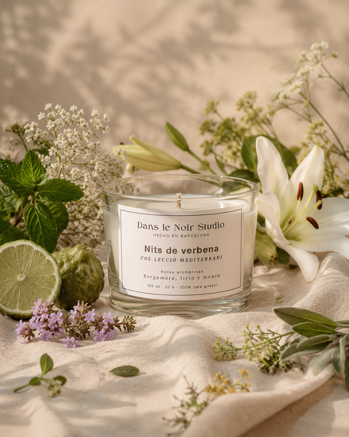 Nits de Verbena
